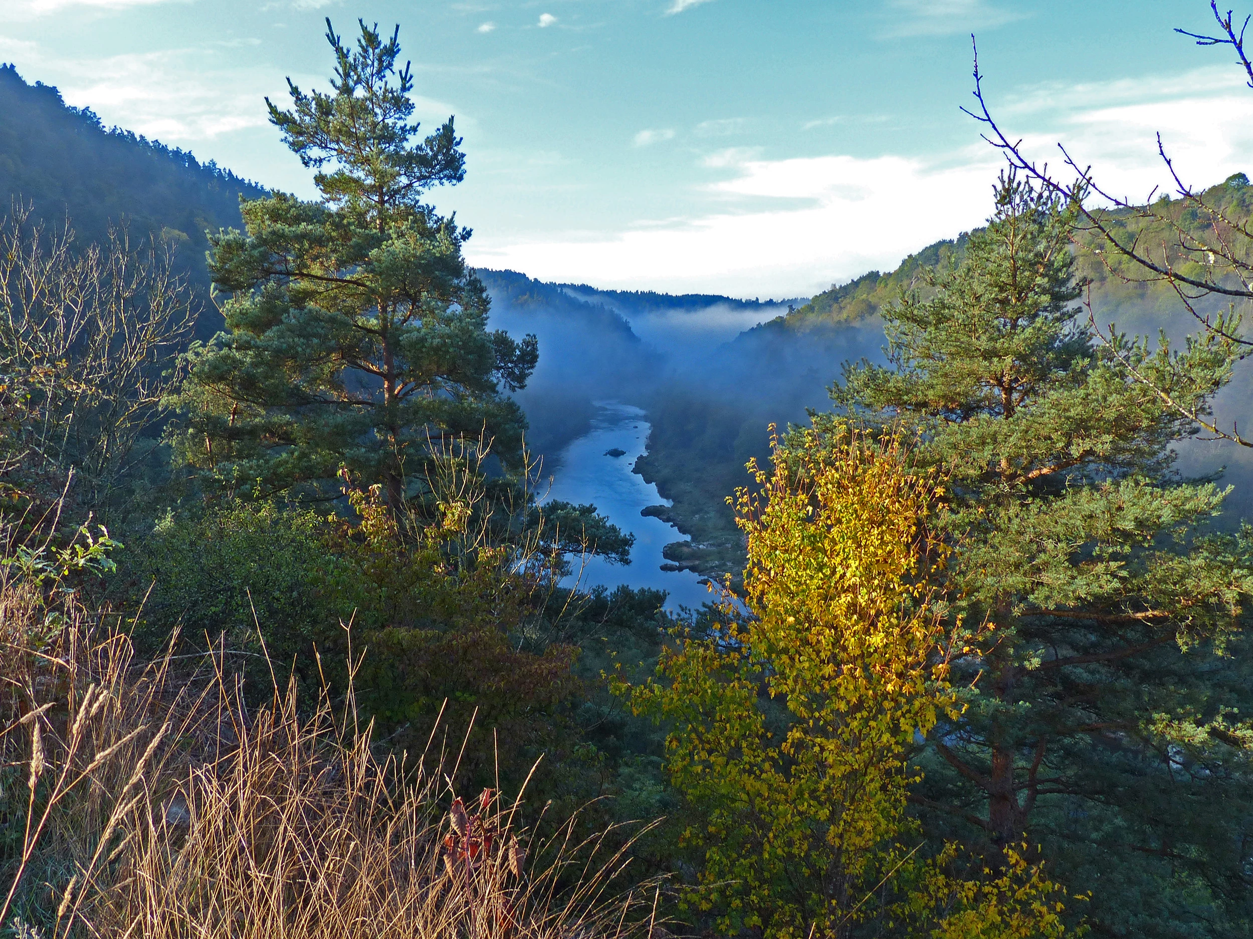 Découvrir et se divertir en Loire Semène